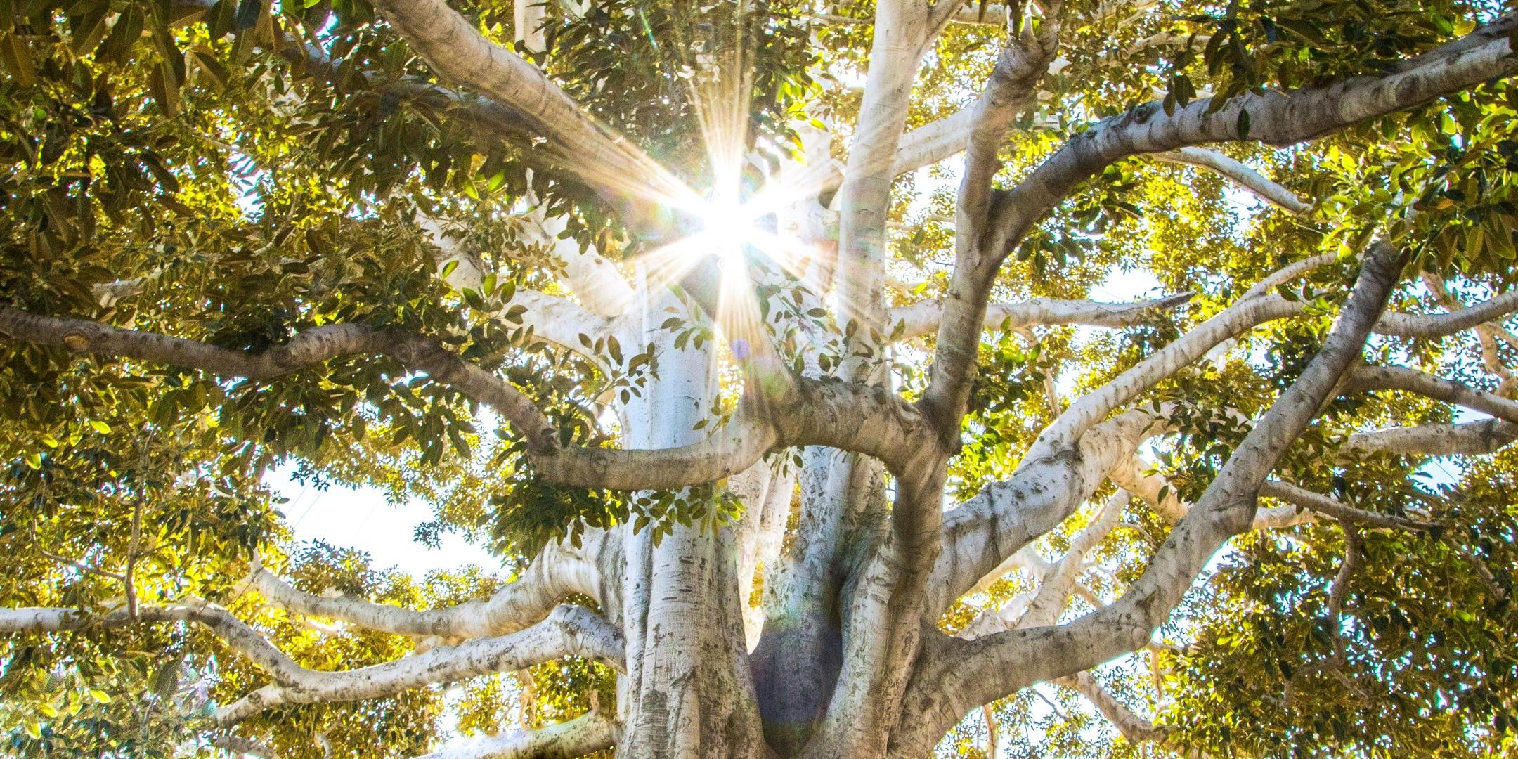 jeremy-bishop-EwKXn5CapA4-unsplash