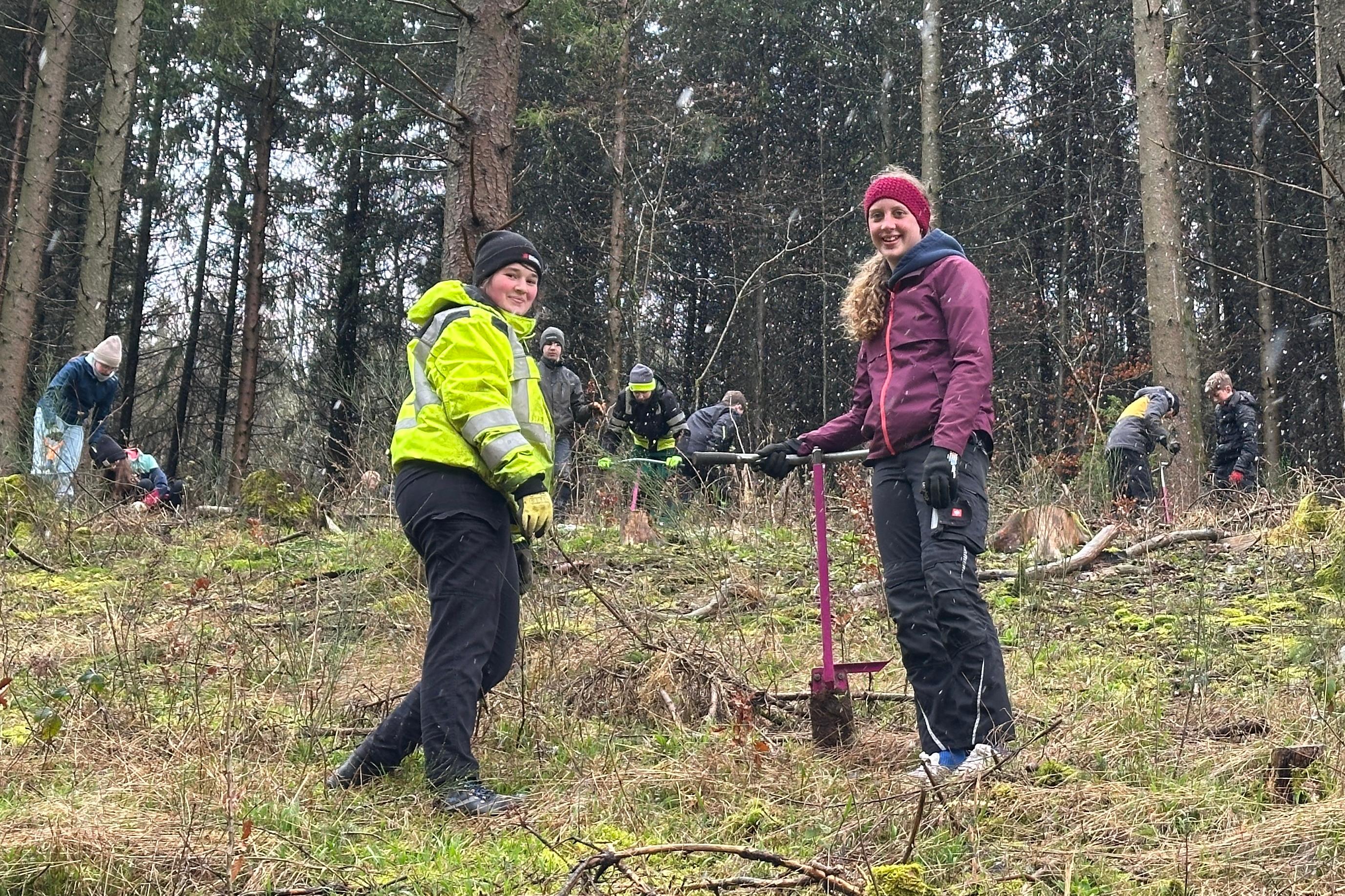 Lara und Luci sind im Wald und graben Erdlöcher aus, um die Setzlinge einzupflanzen.